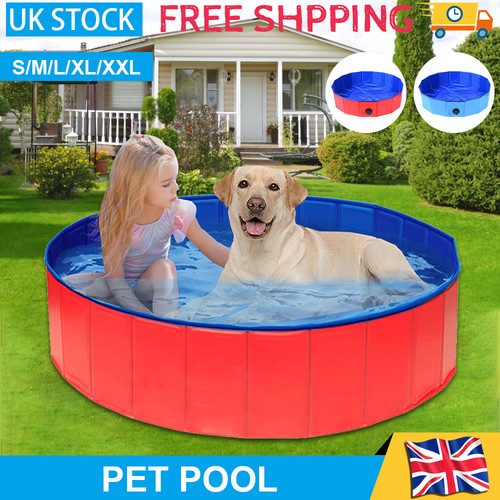 Large pet bath dog - pet,