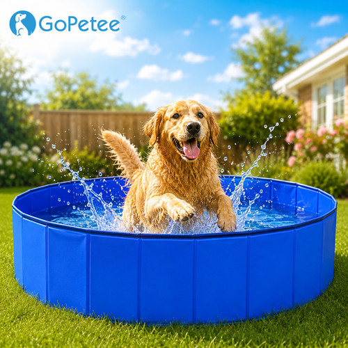 Portable pet swimming - portable, pool