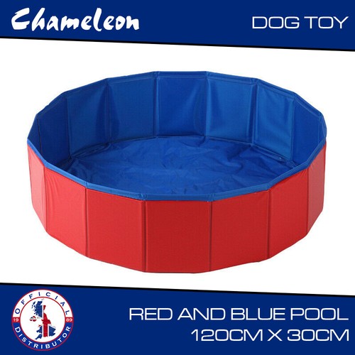 Dog swimming pool bath - dog,