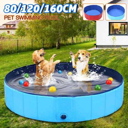 Large dog swimming pool - pool, pet